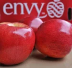 Táo Envy New Zealand Đại Size 24–30 (300g+ / Trái) Tone Đỏ Tiêu Chuẩn 2KG - Ảnh 3